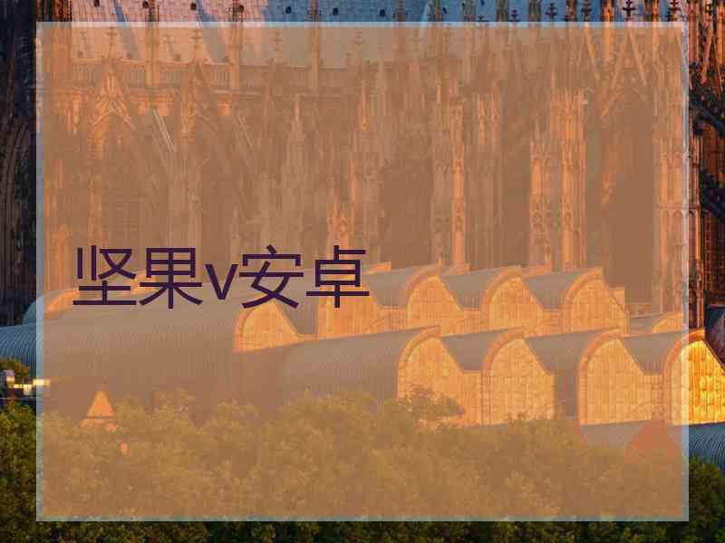 坚果v安卓