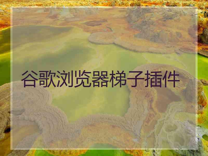 谷歌浏览器梯子插件