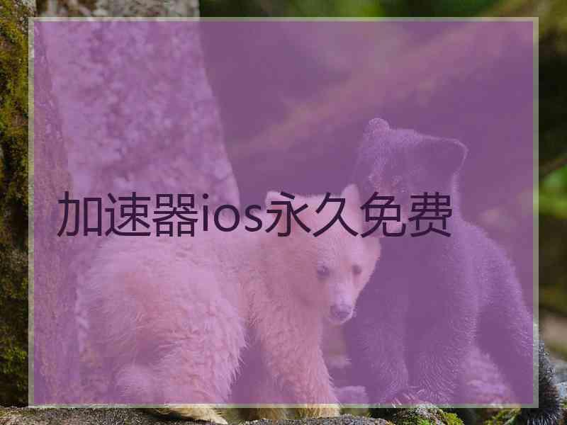 加速器ios永久免费
