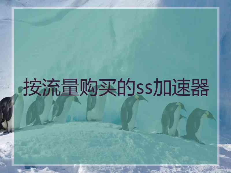 按流量购买的ss加速器