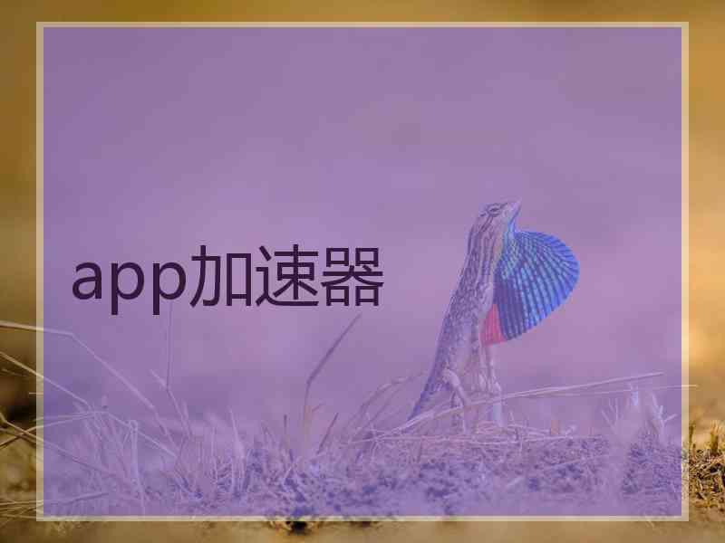 app加速器