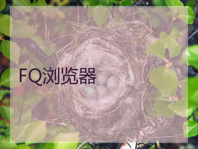 FQ浏览器