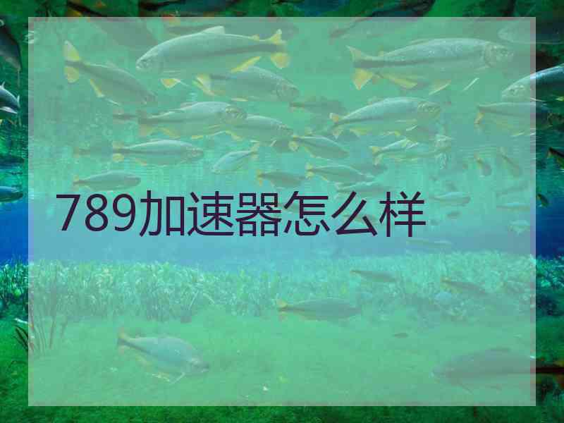 789加速器怎么样