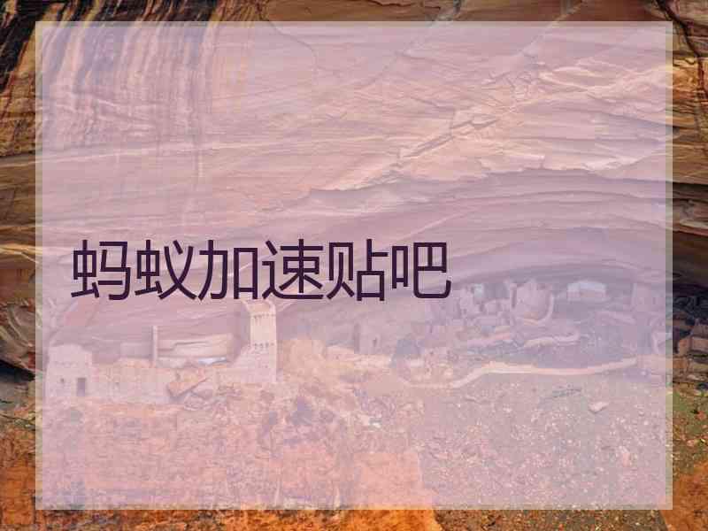 蚂蚁加速贴吧